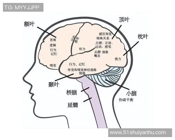 探索15084的奥秘与价值,揭示其在现代社会中的重要性与应用潜力 探索15084的奥秘与价值,揭示其在现代社会中的重要性与应用潜力